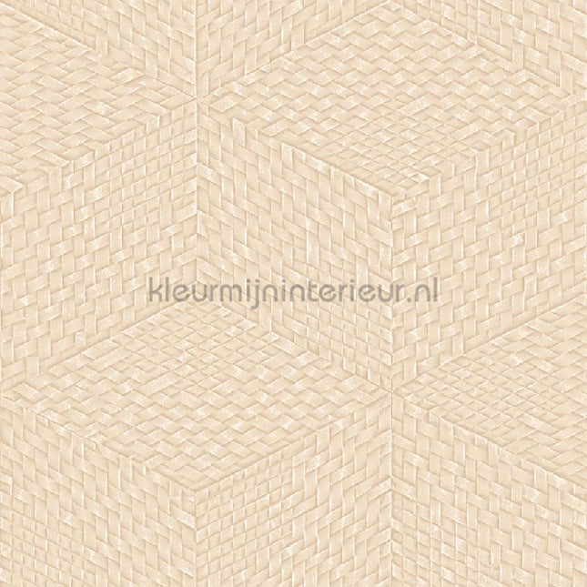 Dutch Wallcoverings Exclusive Threads TP422955 | Bestellen bij https://www.kleurmijninterieur.nl/
