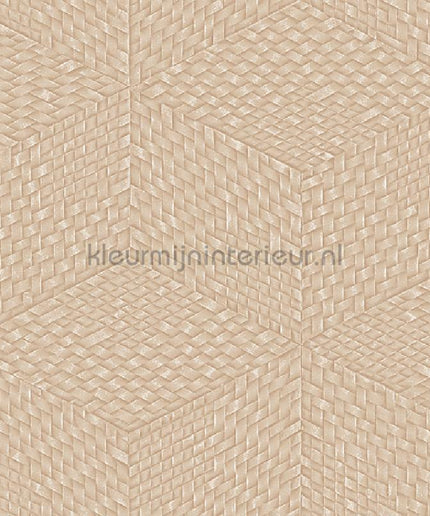 Dutch Wallcoverings Exclusive Threads TP422956 | Bestellen bij https://www.kleurmijninterieur.nl/