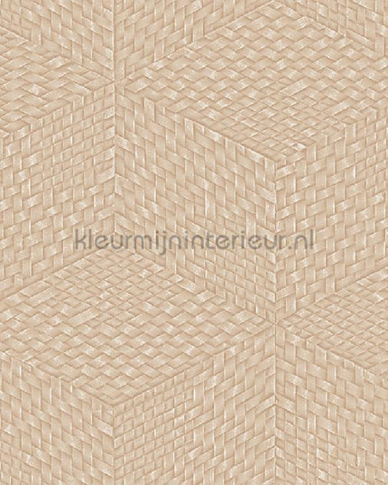 Dutch Wallcoverings Exclusive Threads TP422956 | Bestellen bij https://www.kleurmijninterieur.nl/