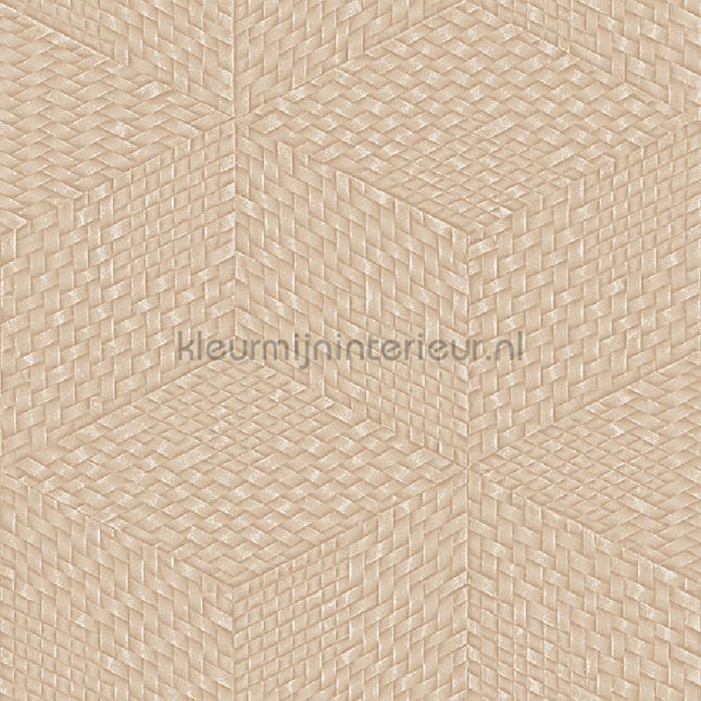 Dutch Wallcoverings Exclusive Threads TP422956 | Bestellen bij https://www.kleurmijninterieur.nl/
