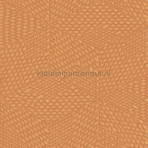 Dutch Wallcoverings Exclusive Threads TP422957 | Bestellen bij https://www.kleurmijninterieur.nl/