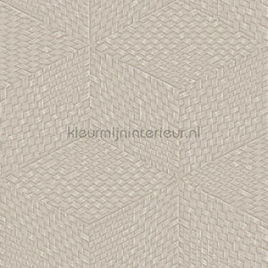 Dutch Wallcoverings Exclusive Threads TP422954 | Bestellen bij https://www.kleurmijninterieur.nl/