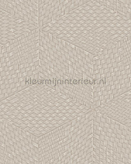 Dutch Wallcoverings Exclusive Threads TP422954 | Bestellen bij https://www.kleurmijninterieur.nl/