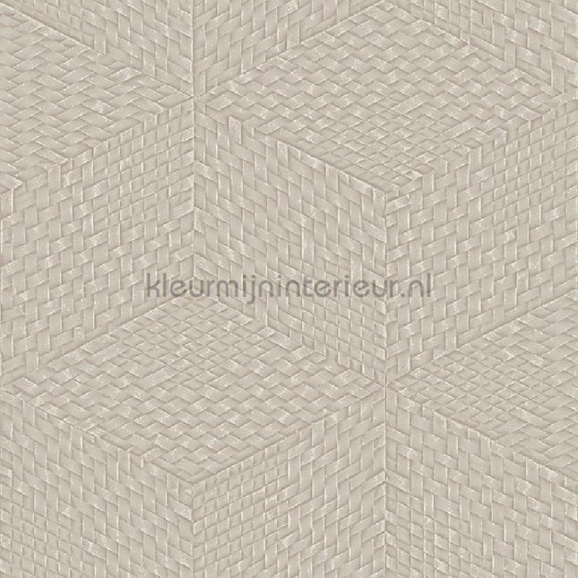 Dutch Wallcoverings Exclusive Threads TP422954 | Bestellen bij https://www.kleurmijninterieur.nl/