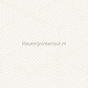 Dutch Wallcoverings Exclusive Threads TP422951 | Bestellen bij https://www.kleurmijninterieur.nl/