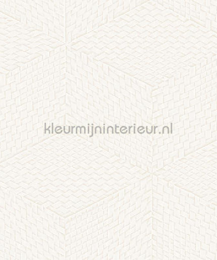 Dutch Wallcoverings Exclusive Threads TP422951 | Bestellen bij https://www.kleurmijninterieur.nl/