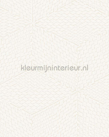 Dutch Wallcoverings Exclusive Threads TP422951 | Bestellen bij https://www.kleurmijninterieur.nl/
