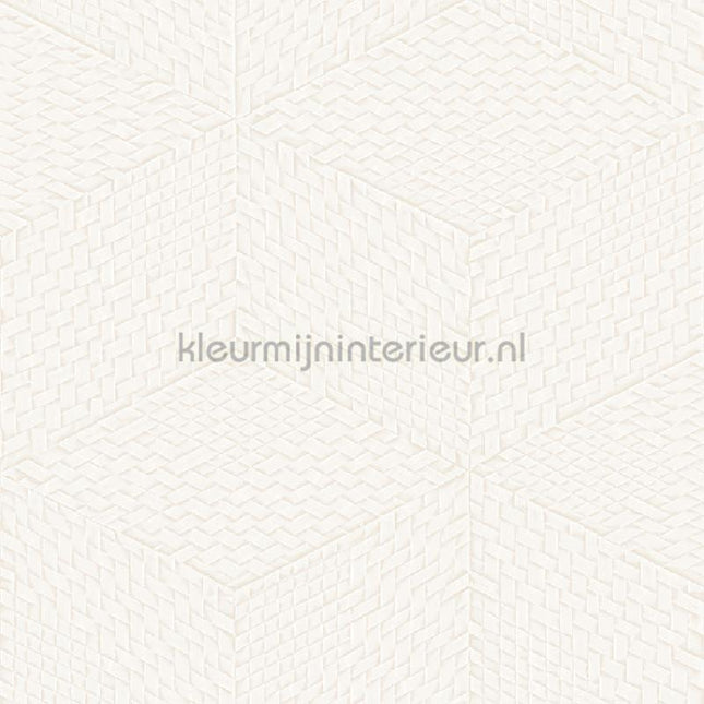 Dutch Wallcoverings Exclusive Threads TP422951 | Bestellen bij https://www.kleurmijninterieur.nl/