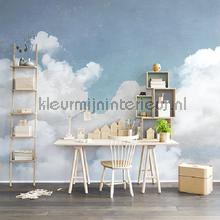 Rebel Walls Passion r14011 | Bestellen bij https://www.kleurmijninterieur.nl/