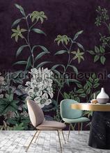 AS Creation Walls by Patel 3 DD121904 | Bestellen bij https://www.kleurmijninterieur.nl/