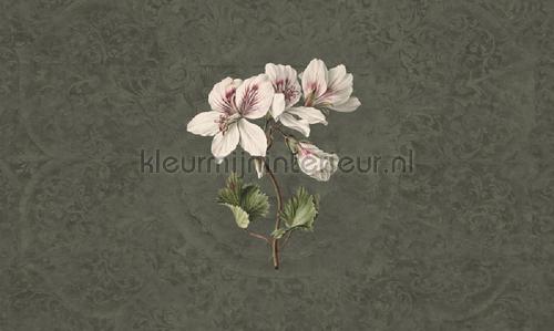 Noordwand Vanilla Lime 14278 | Bestellen bij https://www.kleurmijninterieur.nl/