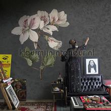Noordwand Vanilla Lime 14278 | Bestellen bij https://www.kleurmijninterieur.nl/