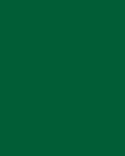 200-0109 DC-Fix Plakfolie Uni groen ral 6029* mat / zijdeglans 45cm breed