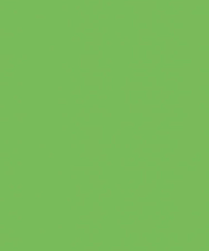 200-1995 DC-Fix Plakfolie Uni groen appel ral 6018* hoogglans 45cm breed