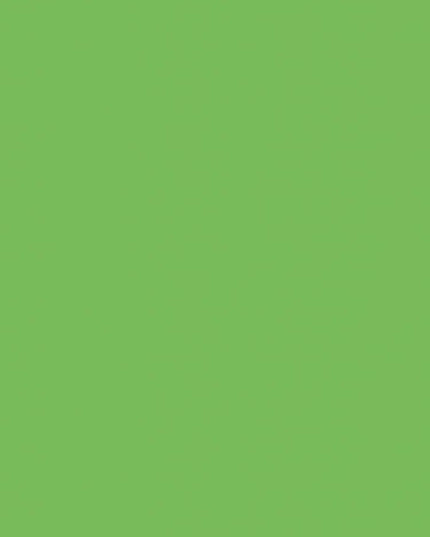 200-1995 DC-Fix Plakfolie Uni groen appel ral 6018* hoogglans 45cm breed