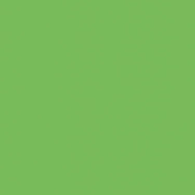 200-1995 DC-Fix Plakfolie Uni groen appel ral 6018* hoogglans 45cm breed