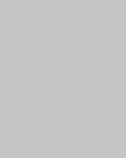 200-2020 DC-Fix Plakfolie Uni licht grijs ral 7035* mat / zijdeglans 45cm breed