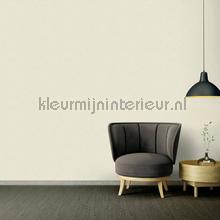 Versace wallpaper Versace 4 962338 | Bestellen bij https://www.kleurmijninterieur.nl/