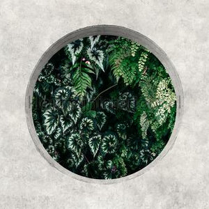 AS Creation Walls by Patel 3 DD122092 | Bestellen bij https://www.kleurmijninterieur.nl/