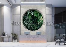 AS Creation Walls by Patel 3 DD122092 | Bestellen bij https://www.kleurmijninterieur.nl/