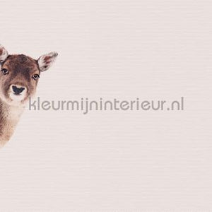 Livingwalls ARTist dd119837 | Bestellen bij https://www.kleurmijninterieur.nl/
