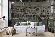 Rebel Walls Curious r14351 | Bestellen bij https://www.kleurmijninterieur.nl/