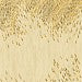 Gold | kleurmijninterieur
