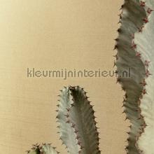 Khroma Havana GAT604 | Bestellen bij https://www.kleurmijninterieur.nl/