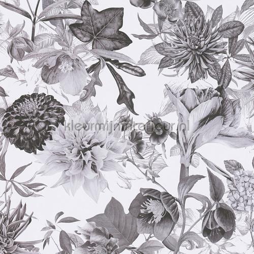 AS Creation Dream Flowery 381753 | Bestellen bij https://www.kleurmijninterieur.nl/