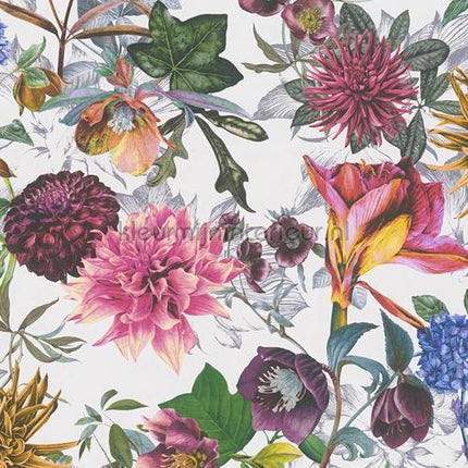 AS Creation Dream Flowery 381754 | Bestellen bij https://www.kleurmijninterieur.nl/