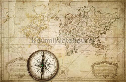 Rebel Walls Maps r10761 | Bestellen bij https://www.kleurmijninterieur.nl/