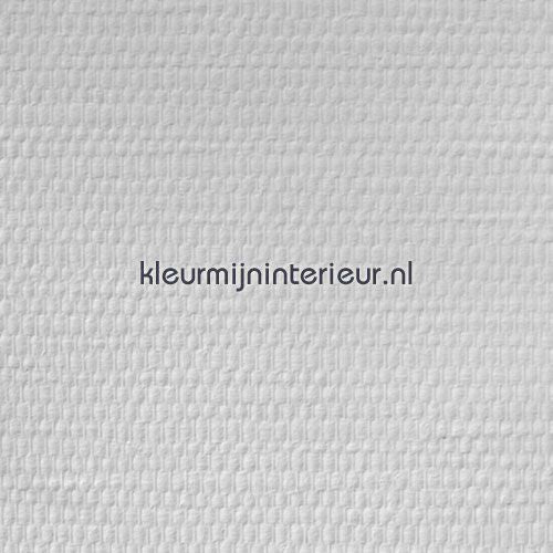 Dutch Wallcoverings  12007 | Bestellen bij https://www.kleurmijninterieur.nl/