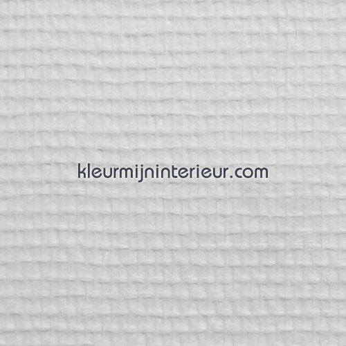 Dutch Wallcoverings  12009 | Bestellen bij https://www.kleurmijninterieur.nl/