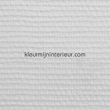 Dutch Wallcoverings  12010 | Bestellen bij https://www.kleurmijninterieur.nl/