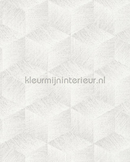 AS Creation Natural Living 38506-2 | Bestellen bij https://www.kleurmijninterieur.nl/