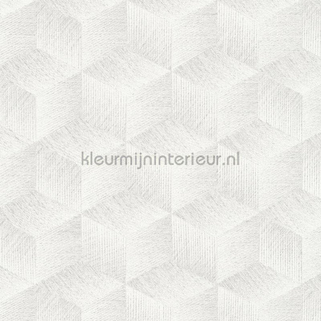 AS Creation Natural Living 38506-2 | Bestellen bij https://www.kleurmijninterieur.nl/