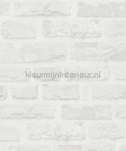 AS Creation Natural Living 38637-2 | Bestellen bij https://www.kleurmijninterieur.nl/