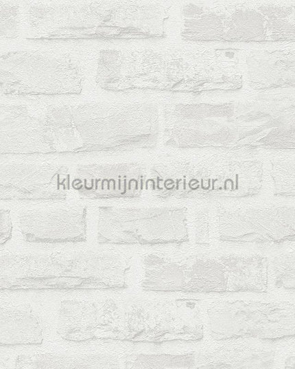 AS Creation Natural Living 38637-2 | Bestellen bij https://www.kleurmijninterieur.nl/