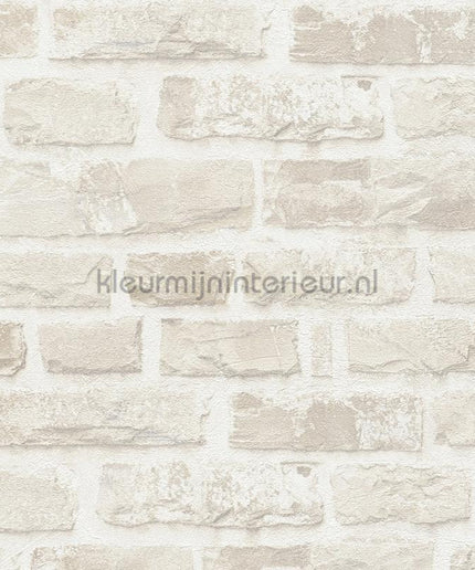 AS Creation Natural Living 38637-3 | Bestellen bij https://www.kleurmijninterieur.nl/