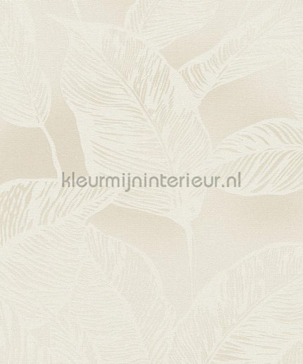 AS Creation Natural Living 38663-3 | Bestellen bij https://www.kleurmijninterieur.nl/