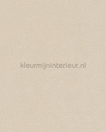 AS Creation Natural Living 38662-1 | Bestellen bij https://www.kleurmijninterieur.nl/