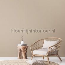 AS Creation Natural Living 38662-1 | Bestellen bij https://www.kleurmijninterieur.nl/
