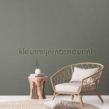 AS Creation Natural Living 38662-2 | Bestellen bij https://www.kleurmijninterieur.nl/