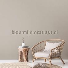 AS Creation Natural Living 38662-5 | Bestellen bij https://www.kleurmijninterieur.nl/