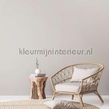 AS Creation Natural Living 38662-6 | Bestellen bij https://www.kleurmijninterieur.nl/