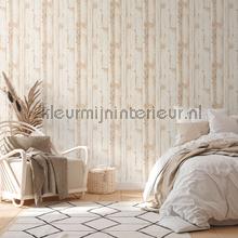 AS Creation Natural Living 38502-1 | Bestellen bij https://www.kleurmijninterieur.nl/