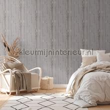 AS Creation Natural Living 38502-2 | Bestellen bij https://www.kleurmijninterieur.nl/