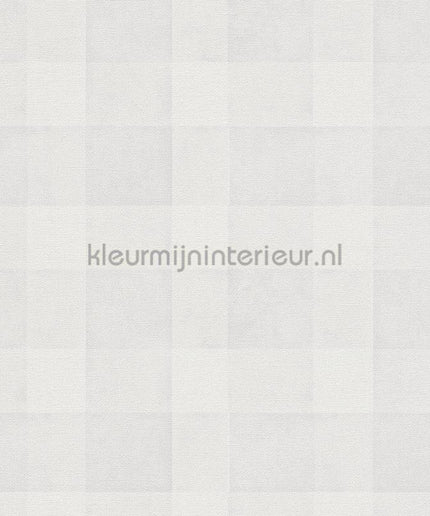 AS Creation Natural Living 38664-4 | Bestellen bij https://www.kleurmijninterieur.nl/