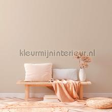 AS Creation Natural Living 37603-1 | Bestellen bij https://www.kleurmijninterieur.nl/