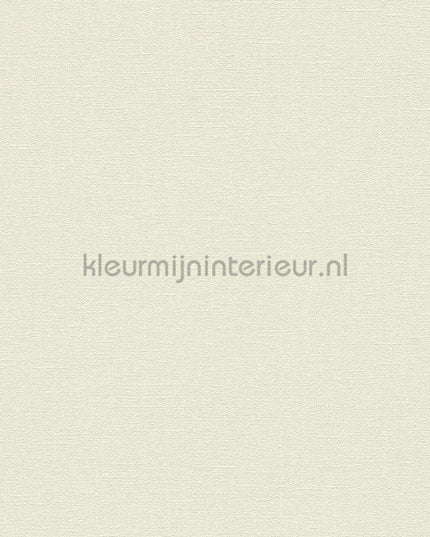 AS Creation Natural Living 37603-7 | Bestellen bij https://www.kleurmijninterieur.nl/